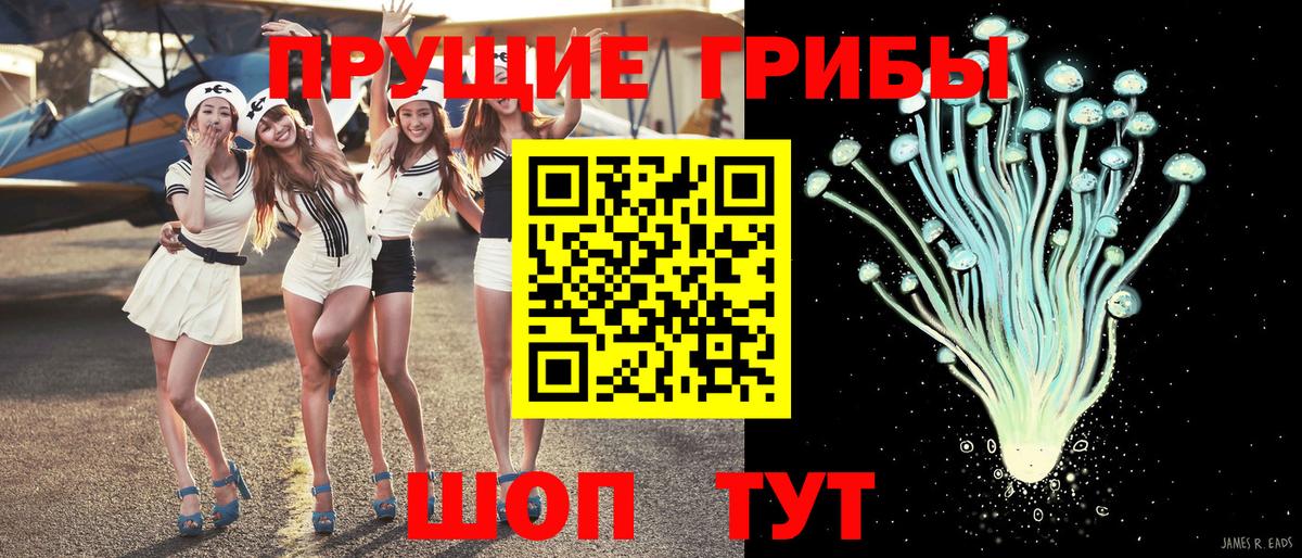 Псилоцибиновые грибы Psilocybine cubensis Домодедово
