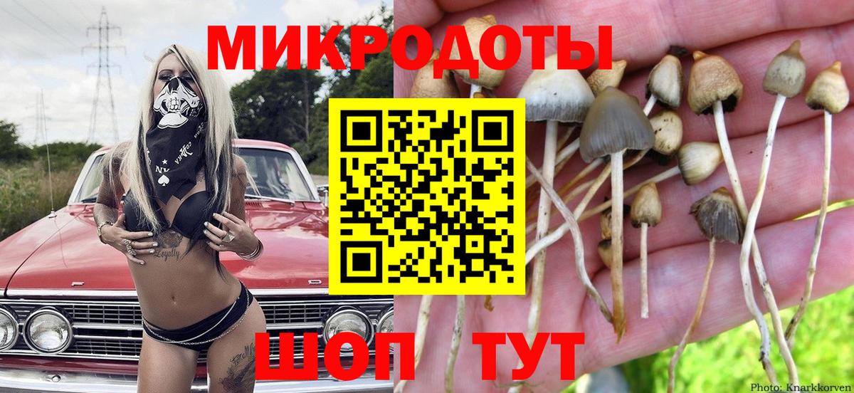 Псилоцибиновые грибы Psilocybine cubensis  Вход с VPN  Домодедово 